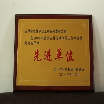 赴永吉縣抗洪搶險(xiǎn)先進(jìn)單位
